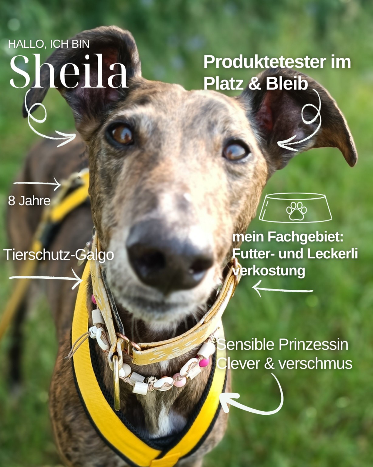 Sheila